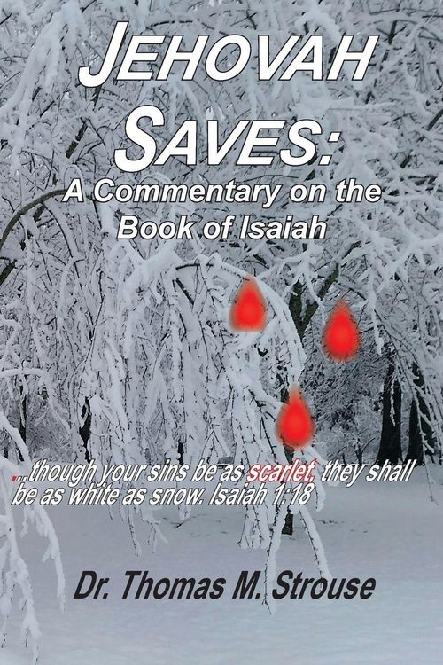 Produktbild: Jehovah Saves