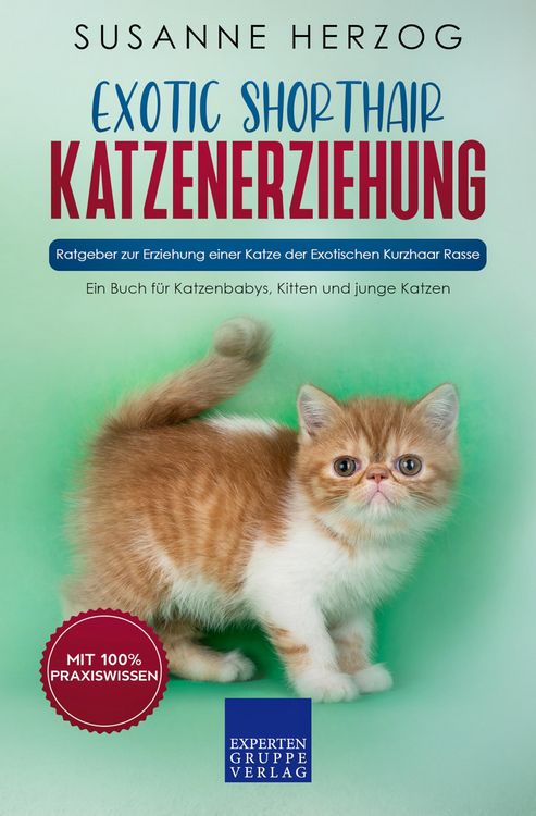 Produktbild: Exotic Shorthair Katzenerziehung - Ratgeber zur Erziehung einer Katze der Exotischen Kurzhaar Rasse