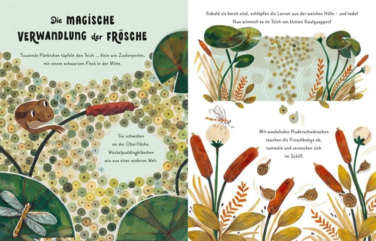 Produktbild: Kleine und gro&szlig;e Wunder der Natur