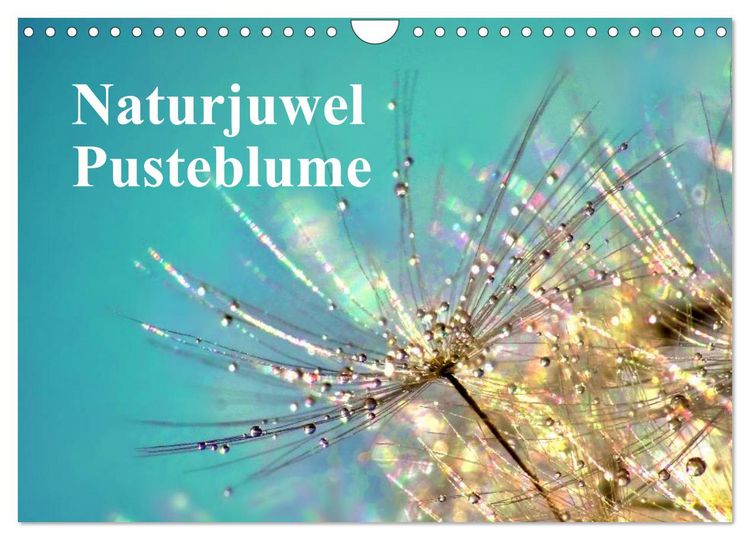 Produktbild: Naturjuwel Pusteblume (Wandkalender 2026 DIN A4 quer), CALVENDO Monatskalender