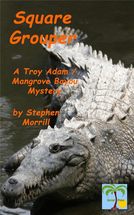Produktbild: Square Grouper (Troy Adam / Mangrove Bayou, #5)