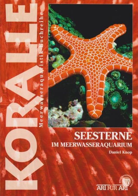 Produktbild: Seesterne im Meerwasseraquarium