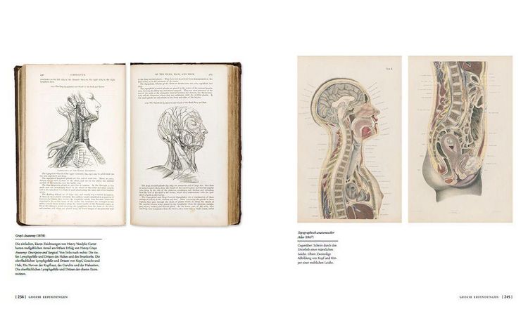 Produktbild: Die Geschichte der Anatomie