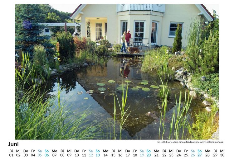 Produktbild: Gartenteiche