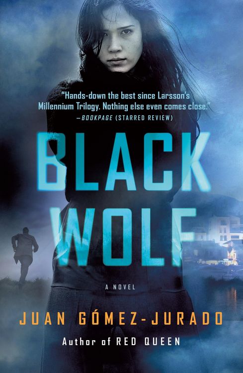 Produktbild: Black Wolf
