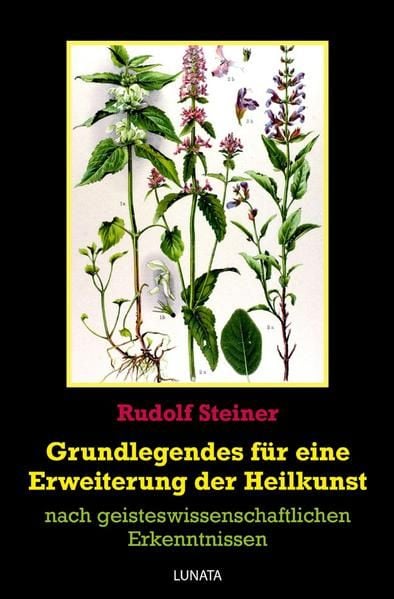 Produktbild: Grundlegendes zur Erweiterung der Heilkunst
