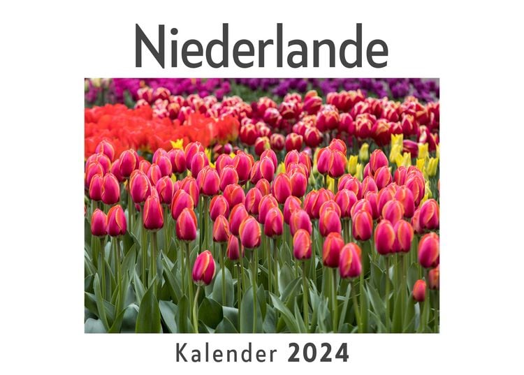 Produktbild: Niederlande (Wandkalender 2024, Kalender DIN A4 quer, Monatskalender im Querformat mit Kalendarium, Das perfekte Geschenk)
