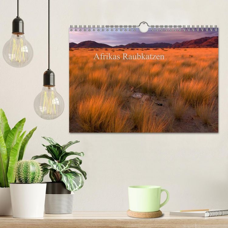 Produktbild: Afrikas Raubkatzen (Wandkalender 2027 DIN A4 quer), CALVENDO Monatskalender