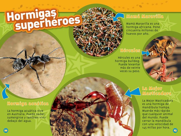 Produktbild: National Geographic Readers: Las Hormigas (L1)