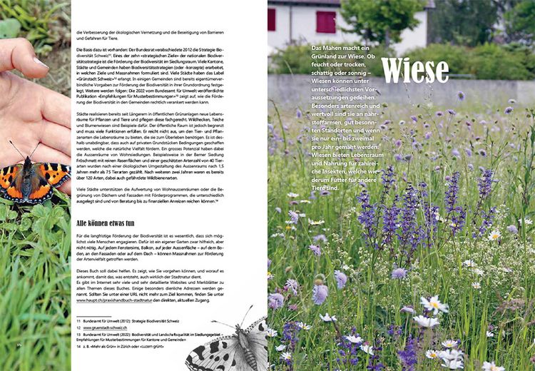 Produktbild: Praxishandbuch Stadtnatur