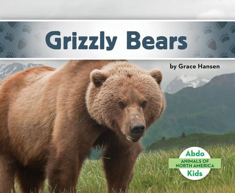 Produktbild: Grizzly Bears
