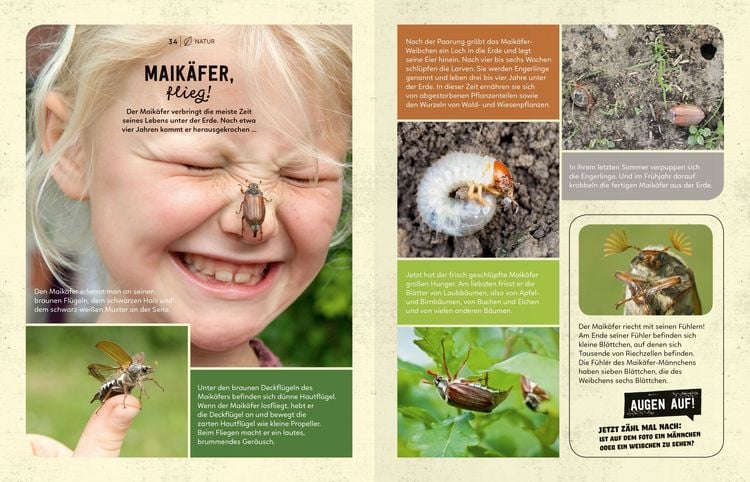 Produktbild: Mein Sach- und Mach-Sommer-Buch