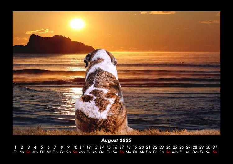 Produktbild: Sonnenunterg&auml;nge 2025 Fotokalender DIN A3