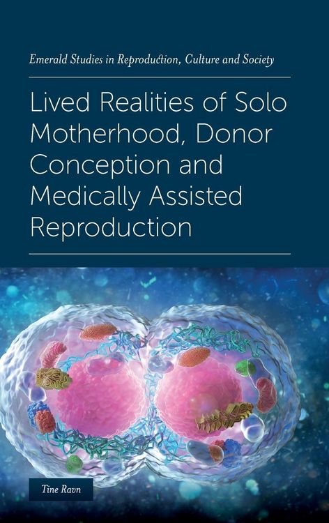 Produktbild: Lived Realities of Solo Motherhood, Donor Conception and Medically Assisted Reproduction