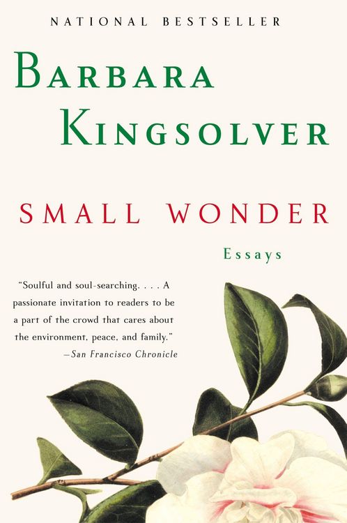 Produktbild: Small Wonder