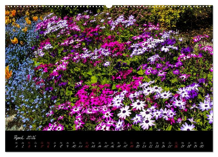 Produktbild: Butchart Gardens 2026 (hochwertiger Premium Wandkalender 2026 DIN A2 quer), Kunstdruck in Hochglanz