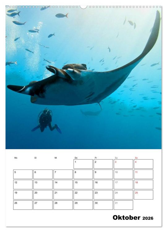 Produktbild: Tauchen - Abtauchen und Staunen (Wandkalender 2026 DIN A2 hoch), CALVENDO Monatskalender