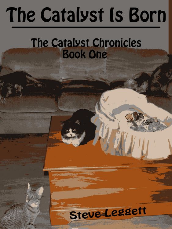 Produktbild: Catalyst is Born: The Catalyst Chronicles - Book One