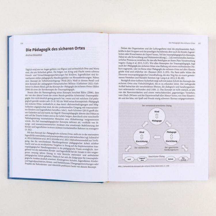 Produktbild: Handbuch Traumap&auml;dagogik
