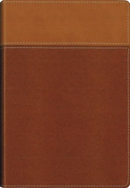 Produktbild: Niv Thinline Bible Imit Tan Rl