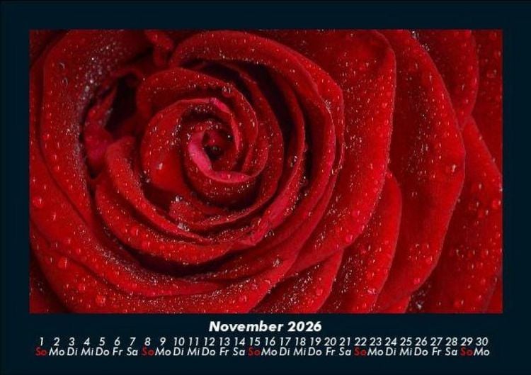 Produktbild: Rosentraum 2026 Fotokalender DIN A5