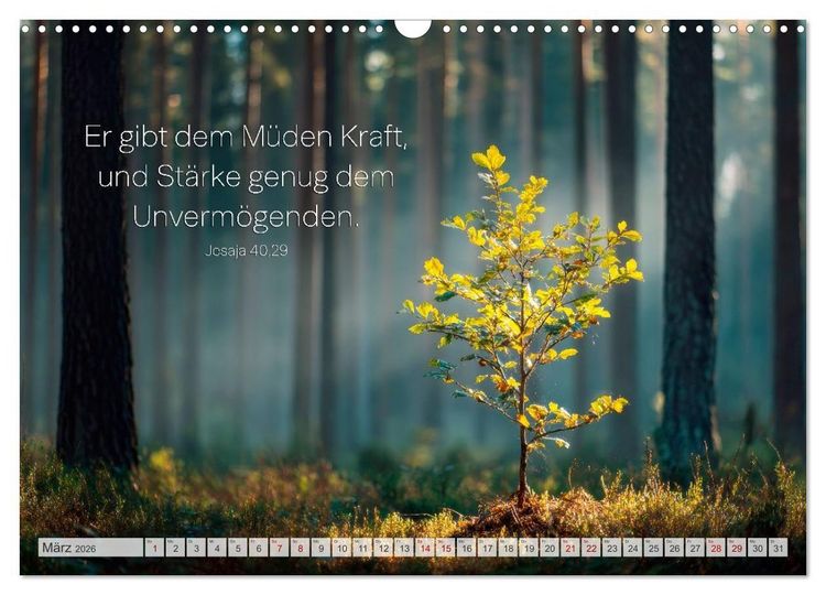 Produktbild: Psalmen und Bibelverse - Himmlische Botschaften (Wandkalender 2026 DIN A3 quer), CALVENDO Monatskalender