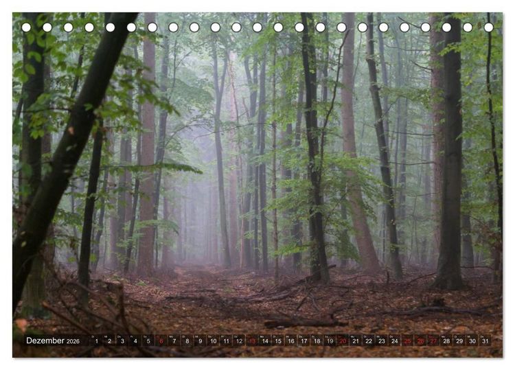 Produktbild: Feng Shui Farben - Element: Holz (Tischkalender 2026 DIN A5 quer), CALVENDO Monatskalender
