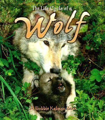 Produktbild: Wolf