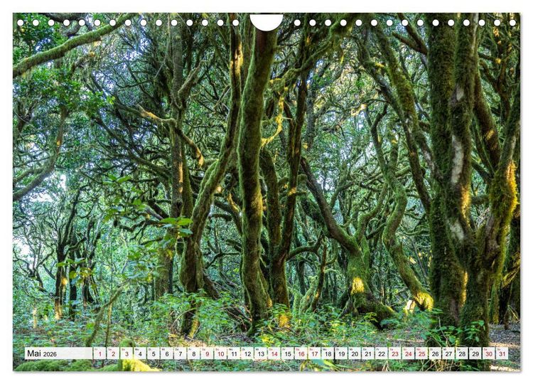 Produktbild: Kanarische Inseln: La Gomera (Wandkalender 2026 DIN A4 quer), CALVENDO Monatskalender