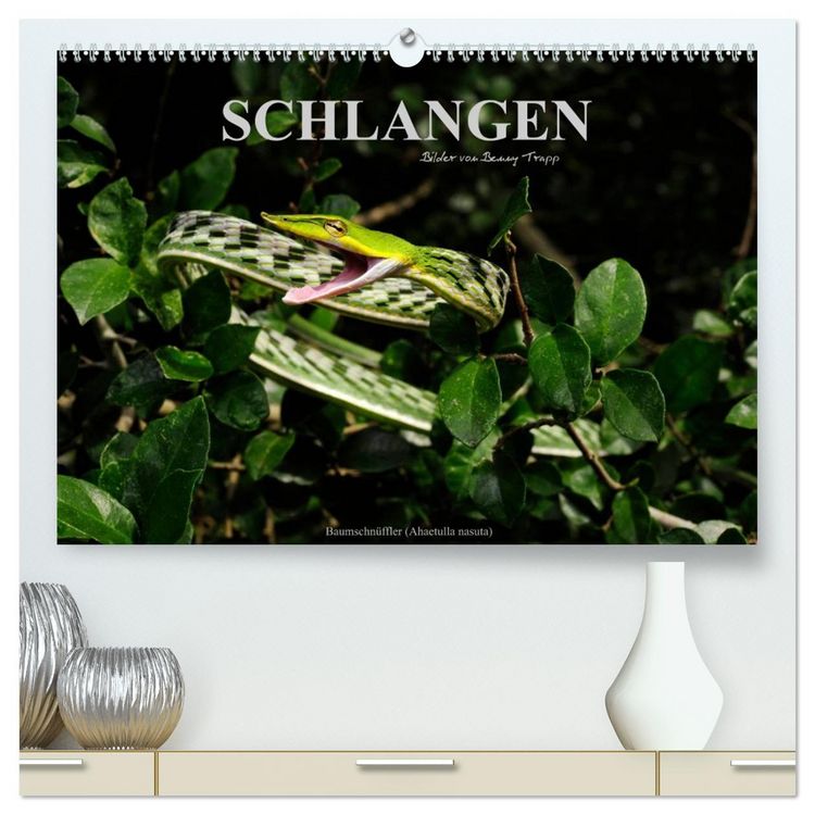 Produktbild: Schlangen (hochwertiger Premium Wandkalender 2026 DIN A2 quer), Kunstdruck in Hochglanz