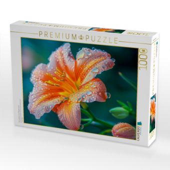 Produktbild: CALVENDO Puzzle Ein L&auml;cheln in der Morgensonne | 1000 Teile Lege-Gr&ouml;&szlig;e 64x48cm Foto-Puzzle f&uuml;r gl&uuml;ckliche Stunden
