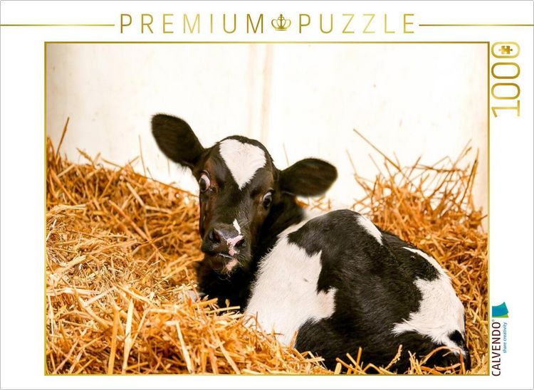 Produktbild: CALVENDO Puzzle Kinderzimmer f&uuml;r K&auml;lbchen | 1000 Teile Lege-Gr&ouml;&szlig;e 64x48cm Foto-Puzzle f&uuml;r gl&uuml;ckliche Stunden