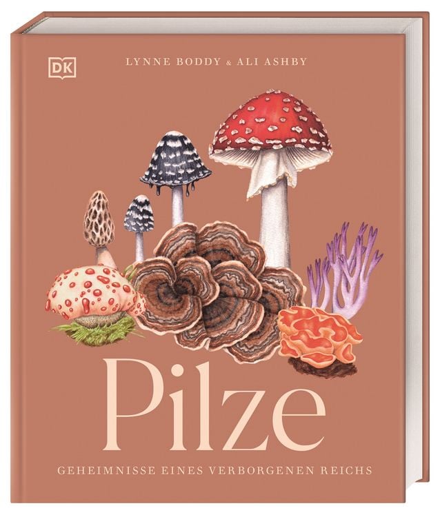 Produktbild: Pilze