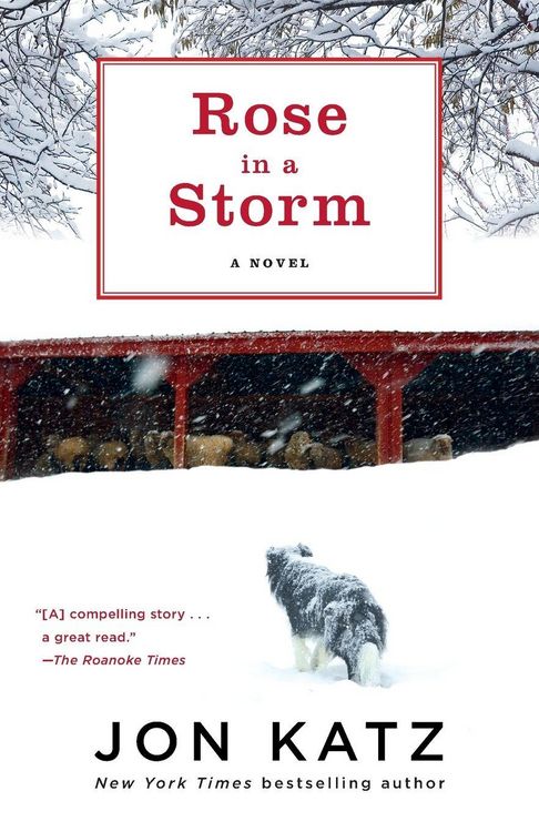 Produktbild: Rose in a Storm