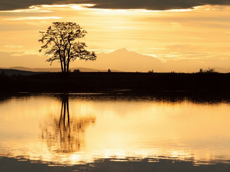 Produktbild: CALVENDO Puzzle Abendstimmung 1000 Teile Lege-Gr&ouml;&szlig;e 64 x 48 cm Foto-Puzzle Bild von Johann Sch&ouml;rkhuber