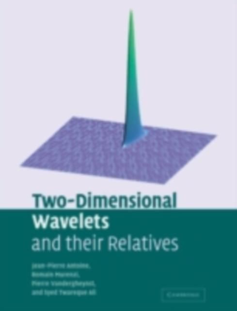 Produktbild: Two-Dimensional Wavelets and their Relatives