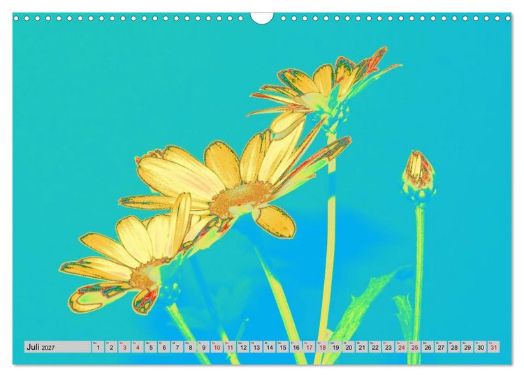Produktbild: Blumen Pop-Art (Wandkalender 2027 DIN A3 quer), CALVENDO Monatskalender