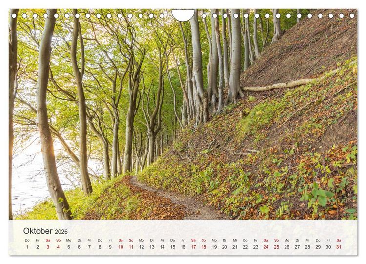 Produktbild: Nat&uuml;rliches R&uuml;gen und Hiddensee (Wandkalender 2026 DIN A4 quer), CALVENDO Monatskalender
