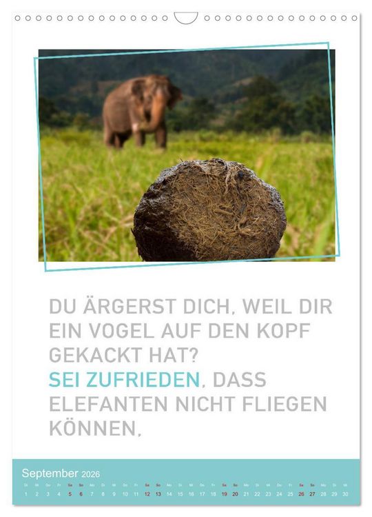 Produktbild: Tierisch bekloppt! (Wandkalender 2026 DIN A3 hoch), CALVENDO Monatskalender