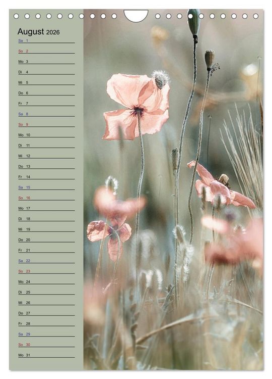 Produktbild: Pastell-Zauber (Wandkalender 2026 DIN A4 hoch), CALVENDO Monatskalender