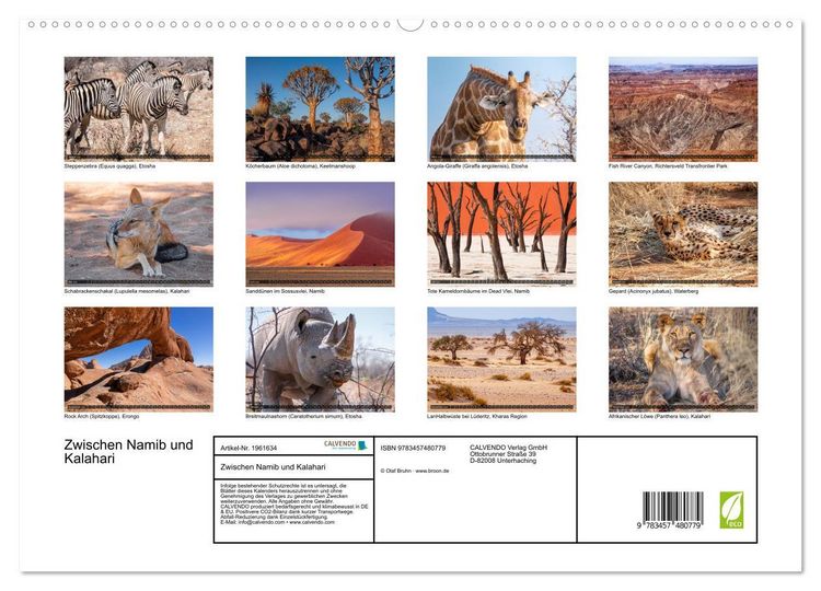 Produktbild: Zwischen Namib und Kalahari (hochwertiger Premium Wandkalender 2026 DIN A2 quer), Kunstdruck in Hochglanz