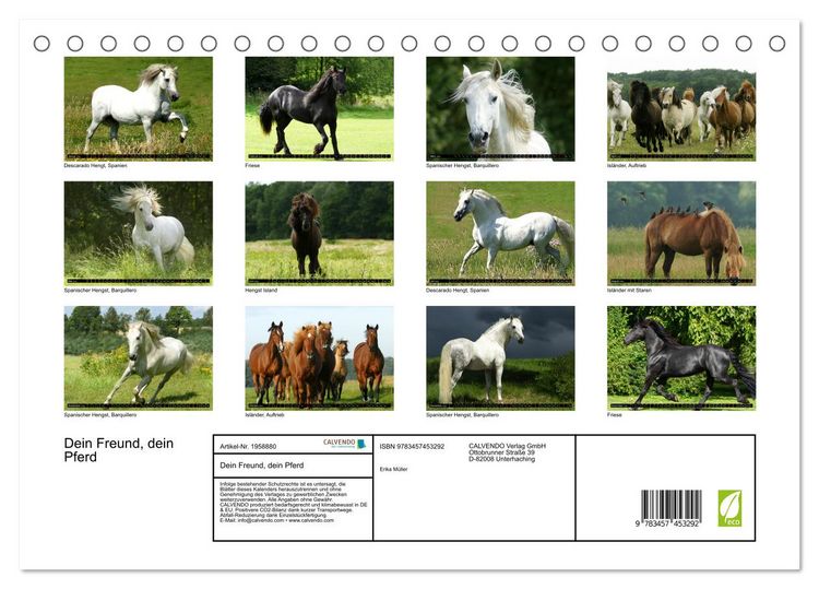 Produktbild: Dein Freund, dein Pferd (Tischkalender 2026 DIN A5 quer), CALVENDO Monatskalender