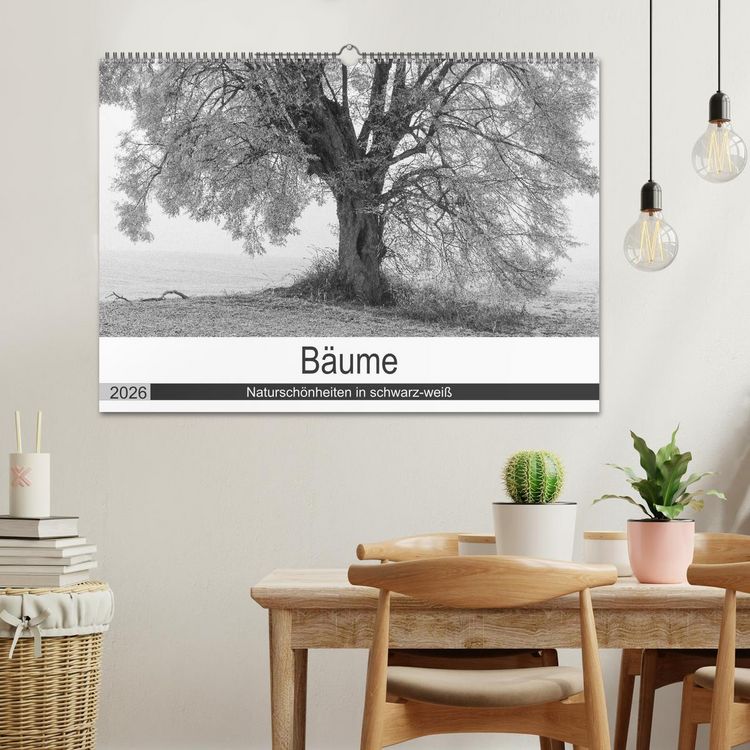 Produktbild: B&auml;ume - Natursch&ouml;nheiten in schwarz-wei&szlig; (Wandkalender 2026 DIN A2 quer), CALVENDO Monatskalender