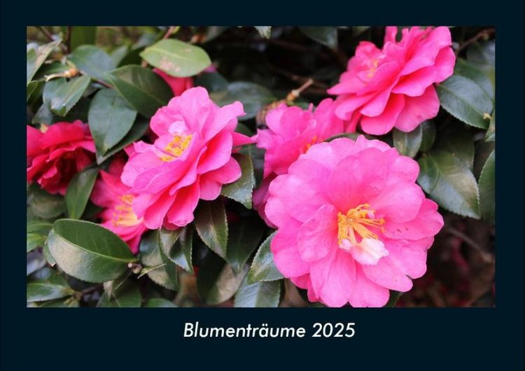 Produktbild: Blumentr&auml;ume 2025 Fotokalender DIN A4