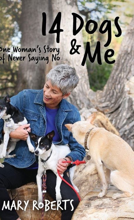 Produktbild: 14 Dogs and Me