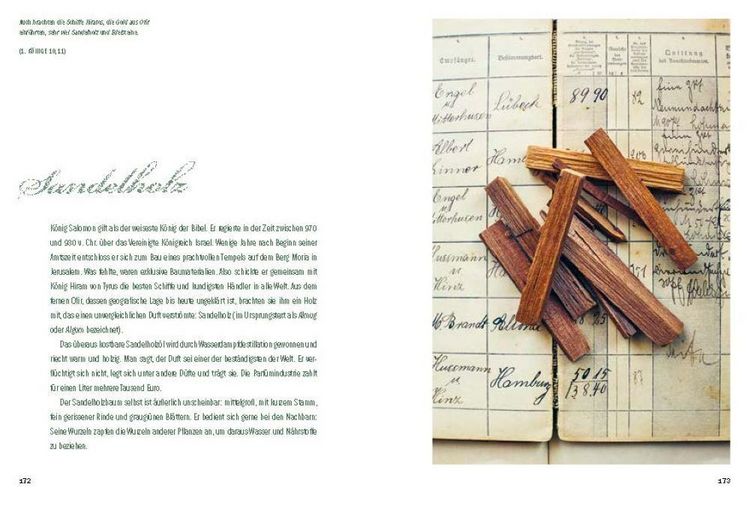 Produktbild: Der Garten der Bibel