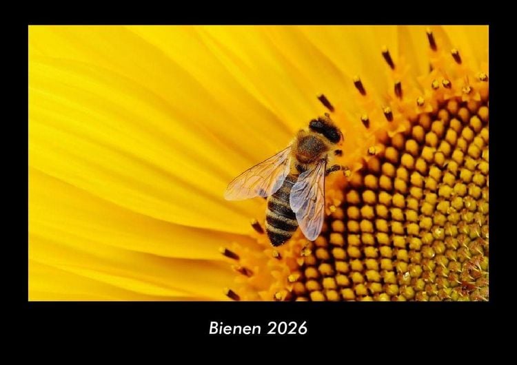 Produktbild: Bienen 2026 Fotokalender DIN A3