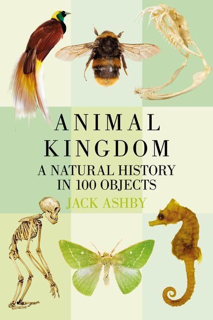 Produktbild: Animal Kingdom