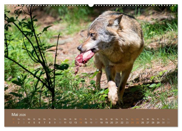 Faszinierend Wolf Mãbel Goa Bild