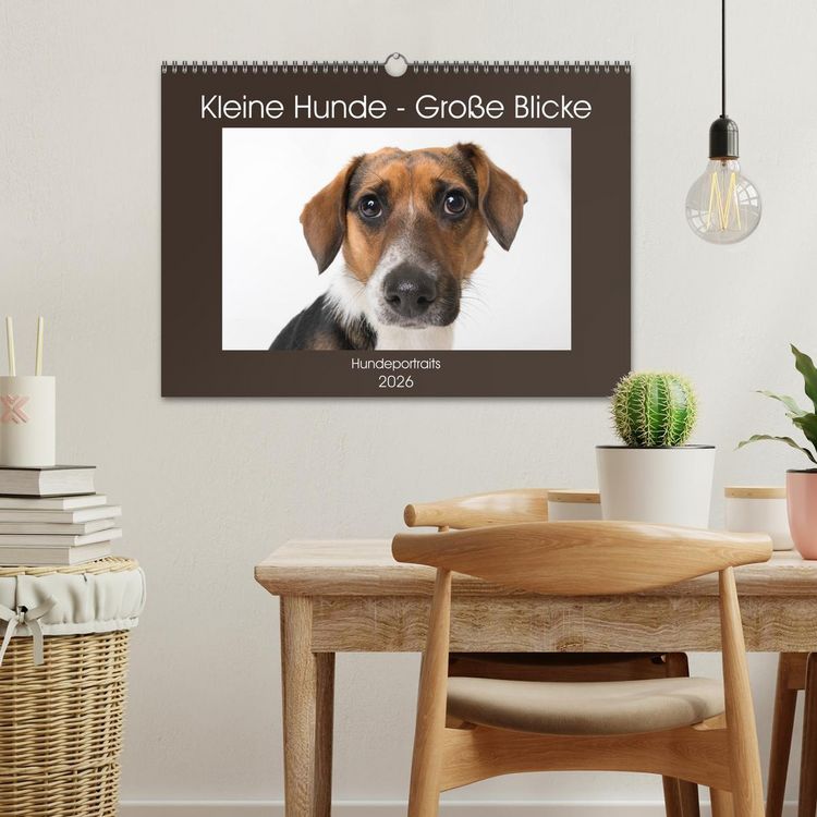 Produktbild: Kleine Hunde - Gro&szlig;e Blicke (Wandkalender 2026 DIN A3 quer), CALVENDO Monatskalender
